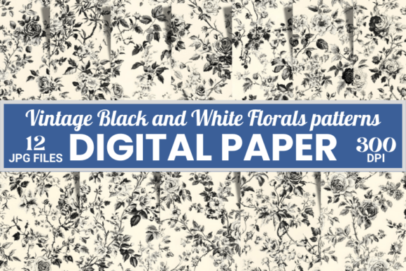 Download Vintage French Toile Black White Pattern - White Collection